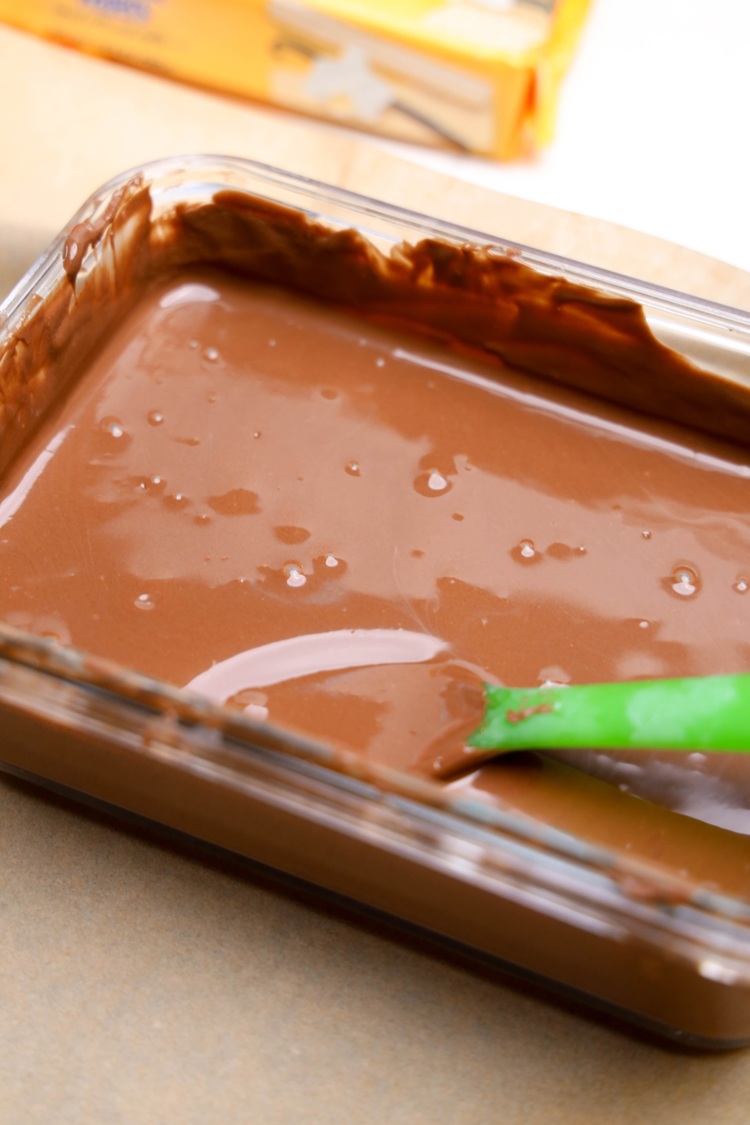 melted chocolate with a green spoon inside of it