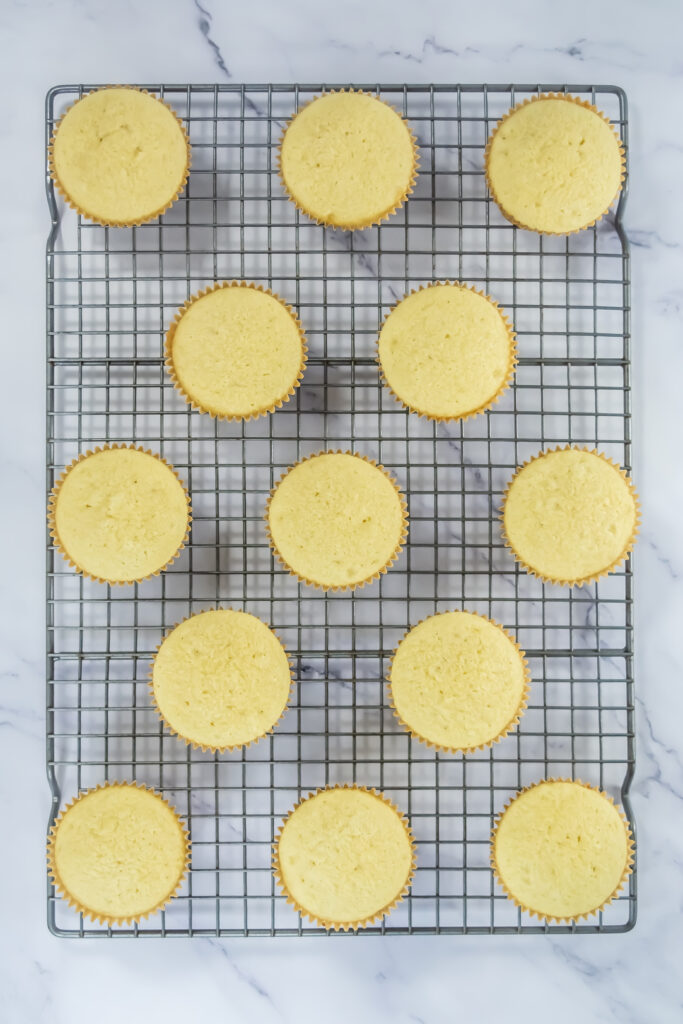A picture of fully baked cupcakes with no decoration.
